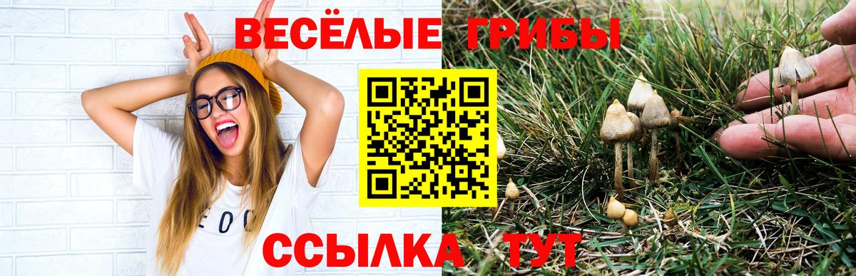 Нурлат  Псилоцибиновые грибы Magic Shrooms  Вход с VPN 